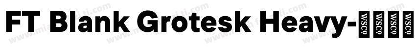 FT Blank Grotesk Heavy字体转换